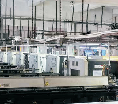 पौधे का पर्यावरण